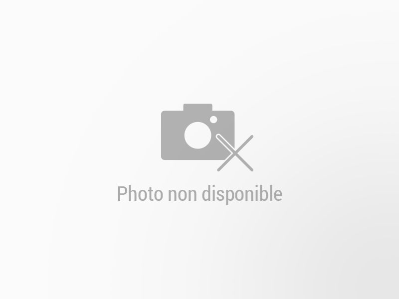 BYD Dolphin d’occasion à vendre à MONTPELLIER